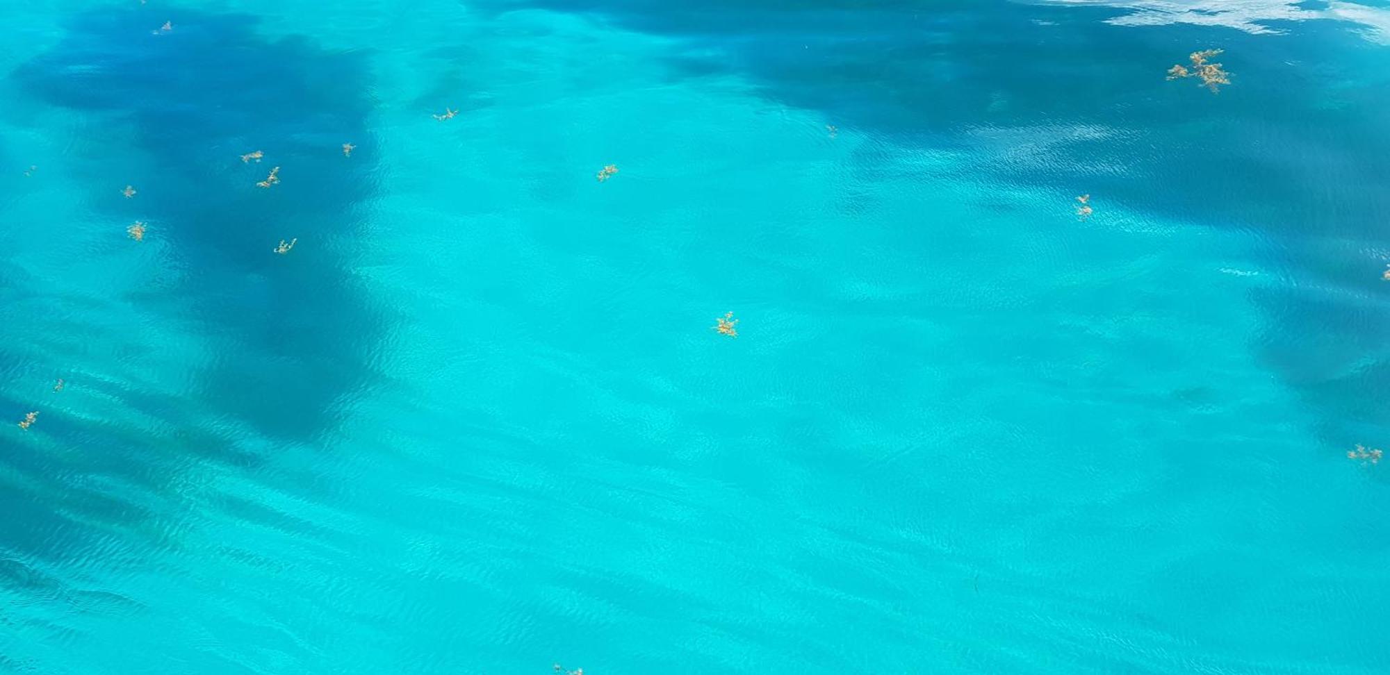 Вилла Planete Bleue Habitation Mes Desirs Beaurenom Экстерьер фото